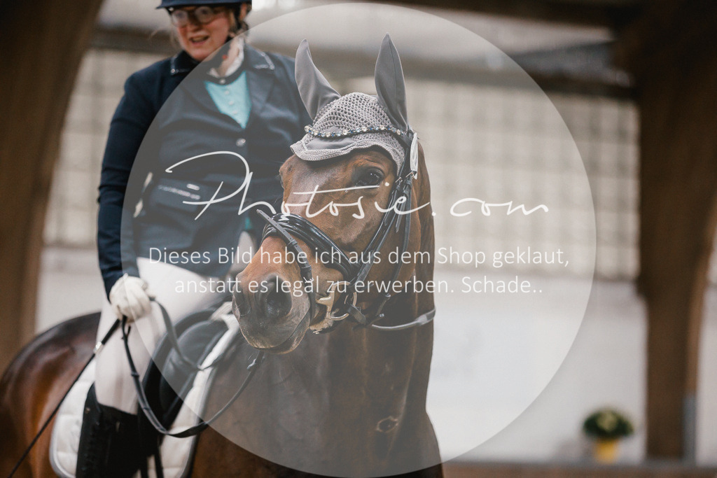 3I6A6111 | Stimmungsvolle Portraits und Reitsportfotografie im Ruhrgebiet und im Münsterland.

Pferdefotografie, Hundefotografie, Tierfotografie, Reportagen, Portraits von Tier und Mensch, Turnierfotografie in Bochum, Recklinghausen, Marl, Haltern am See, Dülmen.. - Realisiert mit Pictrs.com