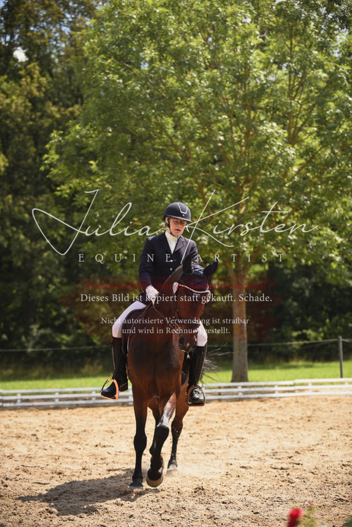DSC_0947 | Pferde- und Turnierfotografie in Westsachsen. Pferdeportraits, Auftragszeichnungen und intuitive Kunst.