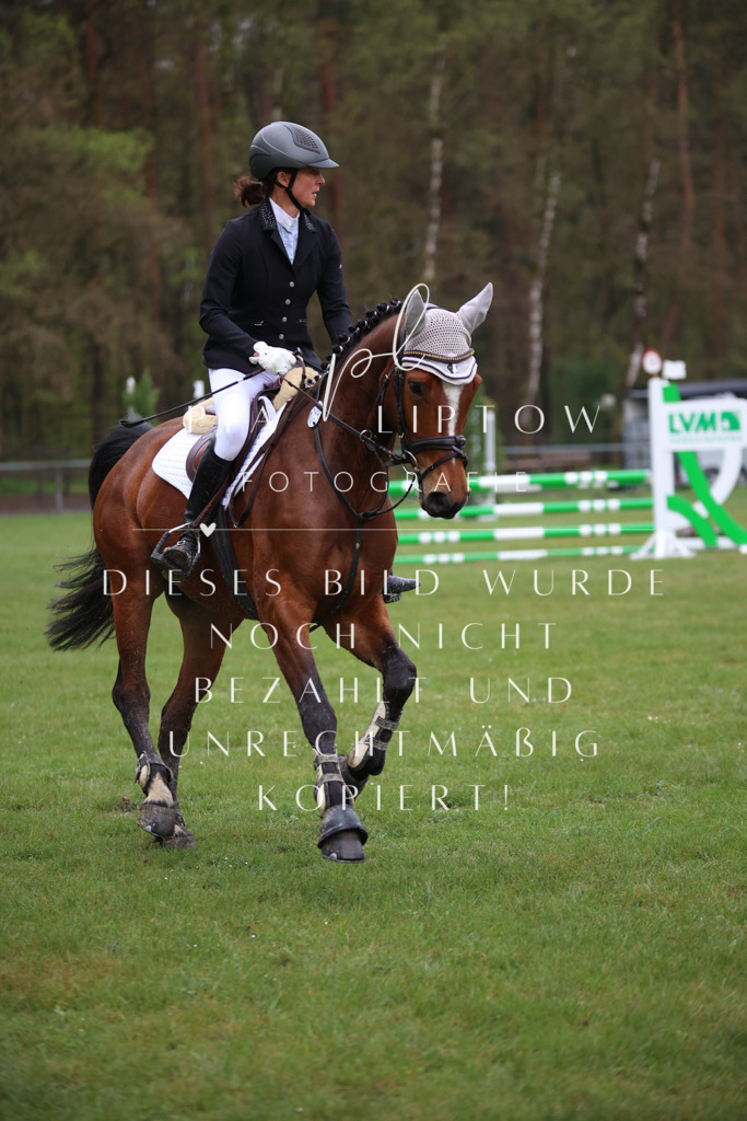 IMGT2586 | pl-fotografie