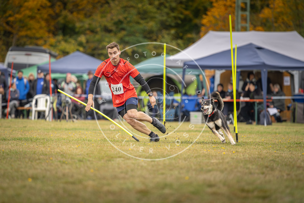 Pfotenfotografie_DV3A5409 | Hundefotografie, Tierfotograf, Pfotenfotografie, Fotoshooting Hund, Hunde Portrait, Hundesport, Hundeportraits, Heideshooting, Hunde, Sportfotograf, Hundefotograf, Turnierhundsport, THS,  - Realisiert mit Pictrs.com
