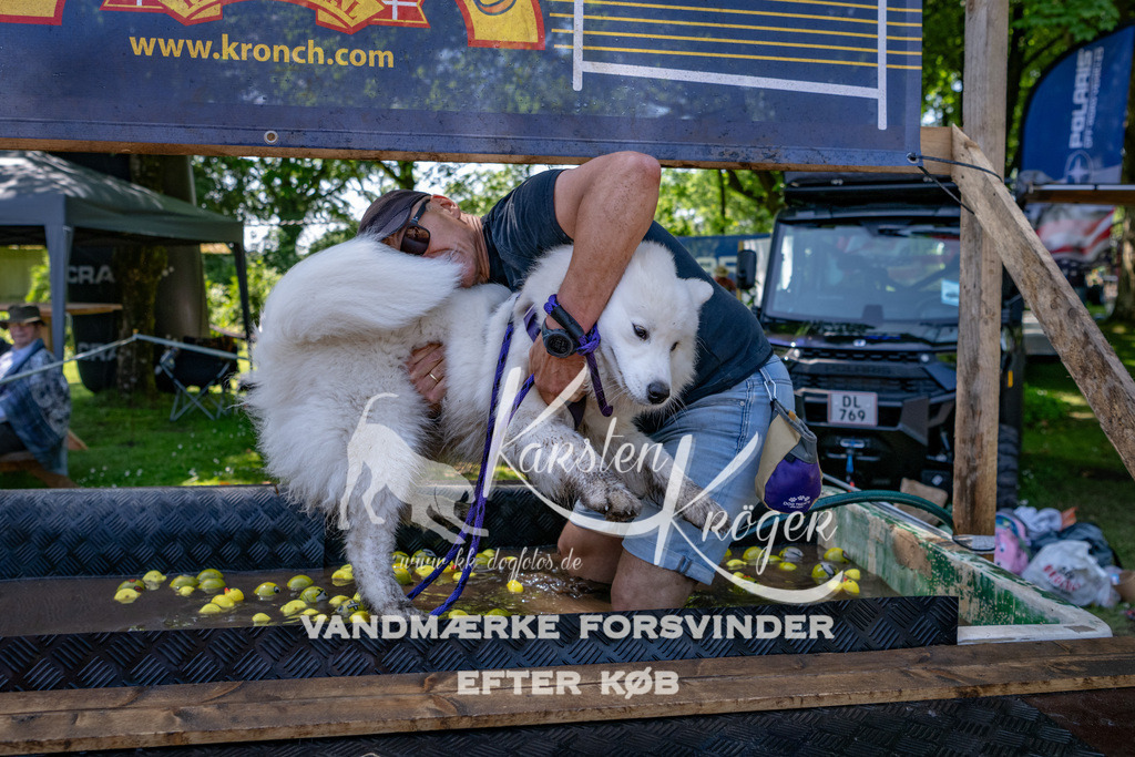 1327_ZZ91348 | kk-dogfotos