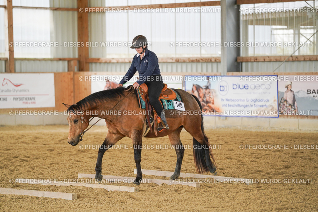 DSC03854 | Pferdegrafie