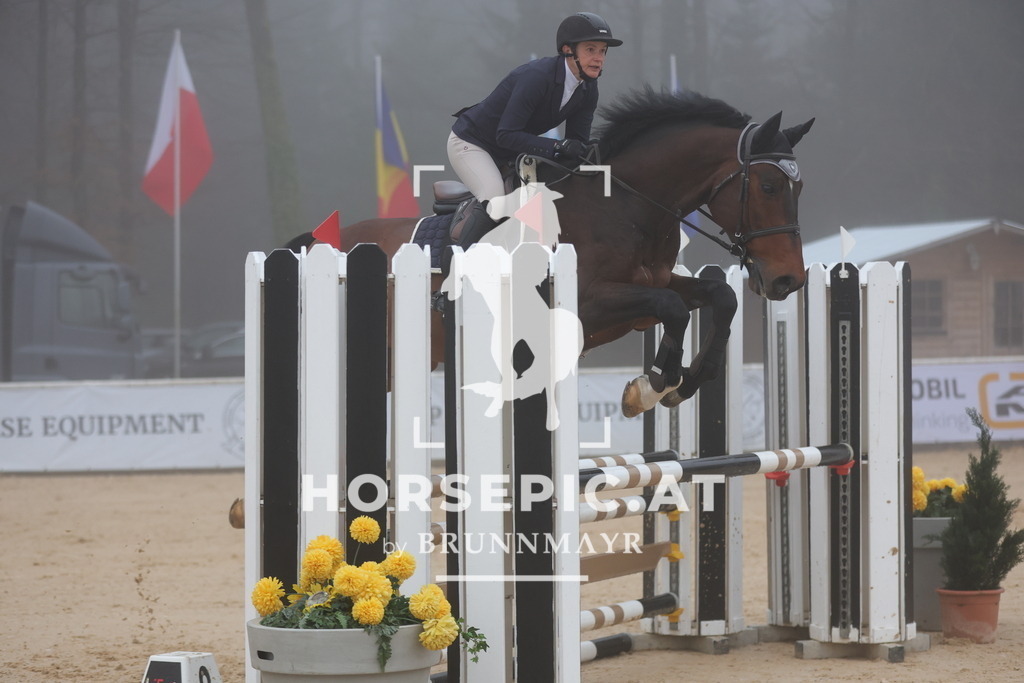 0P6A7906 | Willkommen bei Brunnmayr - Design & Fotografie – Ihrem Spezialisten für Reitturniere und Pferdeveranstaltungen in Oberösterreich, Salzburg und Bayern! Seit über 17 Jahren sind wir leidenschaftlich dabei.