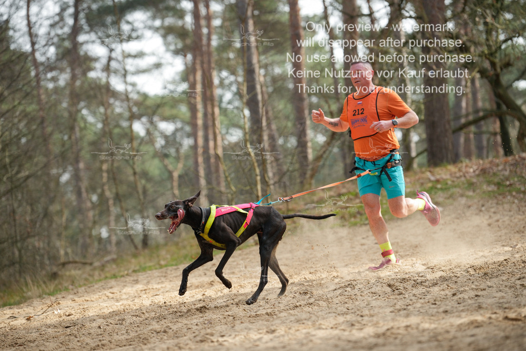 LangeCross-53 | stephaniefillaphotographie - Realisiert mit Pictrs.com