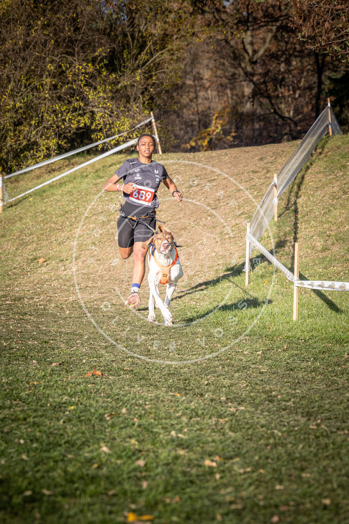 CaniXpix_0L8A9315 | Hundefotografie, Tierfotograf, Pfotenfotografie, Fotoshooting Hund, Hunde Portrait, Hundesport, Hundeportraits, Heideshooting, Hunde, Sportfotograf, Hundefotograf, Turnierhundsport, THS,  - Realisiert mit Pictrs.com