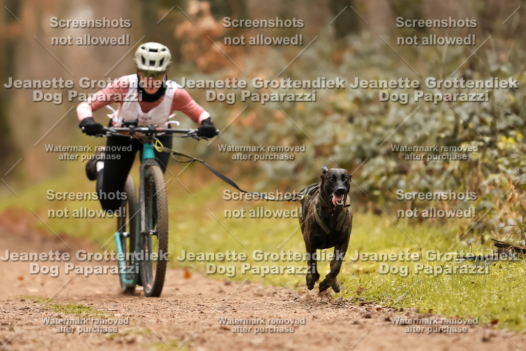 Dog Paparazzi - Speedhunter Mannheim  2025-414 | Dog Paparazzi Jeanette Grottendiek Fotografie & Videografie