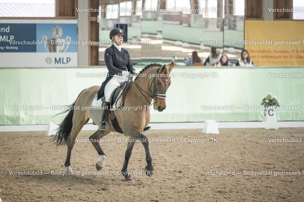 _D5A2279 | Emotionale Pferde- & People-Fotografie rund um Heidelberg, Leimen & Umgebung. Natürliche Fotos von Pferd, Mensch & Familie. Jetzt Termin sichern!