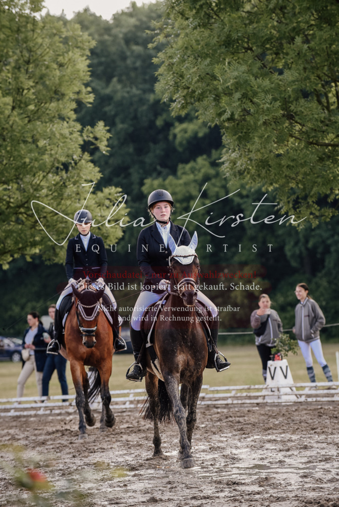 DSC_8148 | Pferde- und Turnierfotografie in Westsachsen. Pferdeportraits, Auftragszeichnungen und intuitive Kunst.