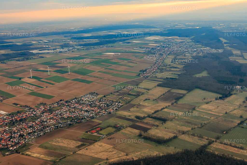 Luftbild: Viehstrich im Winter aus Westen in Minfeld im Bundesland Rheinland-Pfalz in Deutschland. Foto: IMG_076670.jpg vom 28.03.2015 durch Werner Riehm/FLY-FOTO.de