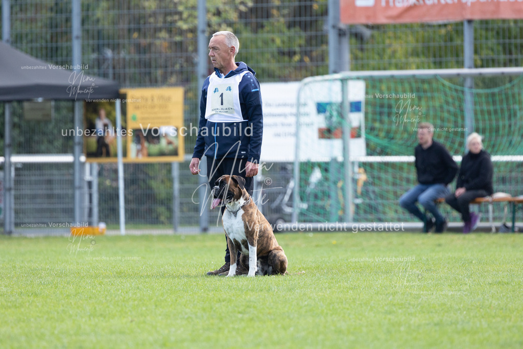 _16A5329 | Einzigartige Fotos von Hunden & Menschen –Actionfotos, Portraits, Vereinsaufnahmen & Paarshootings – authentisch, lebendig & mit Herz.