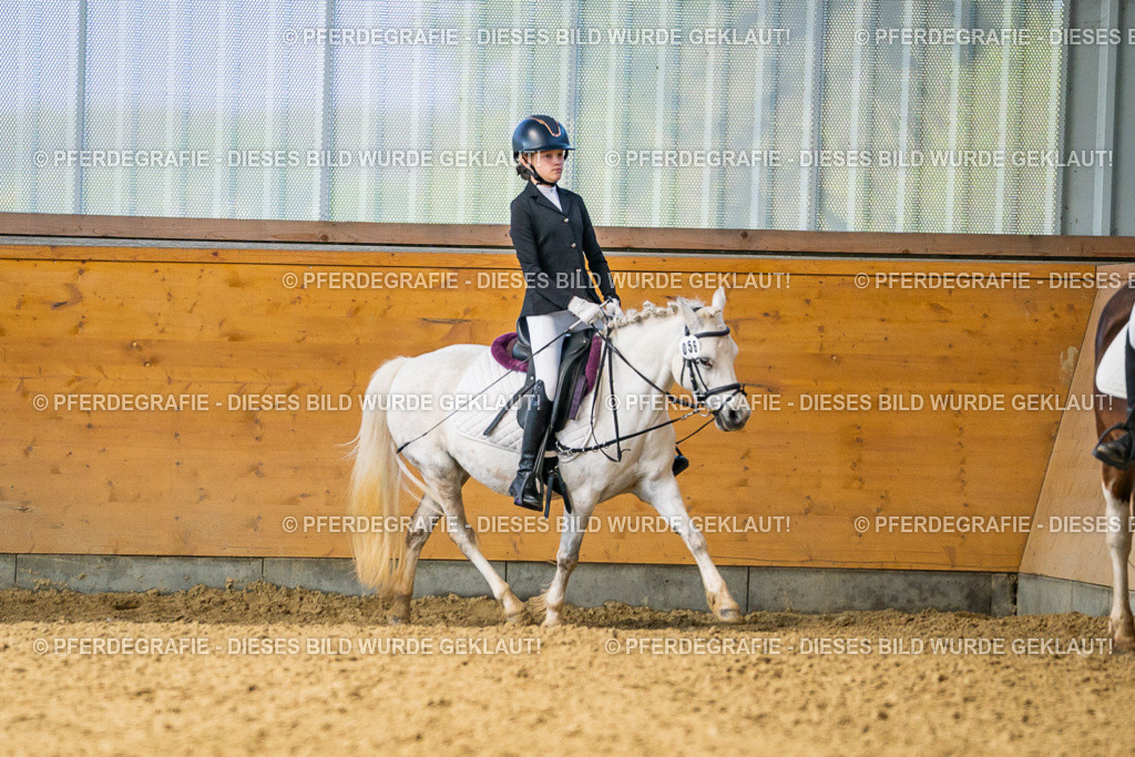 DSC03176 | Pferdegrafie