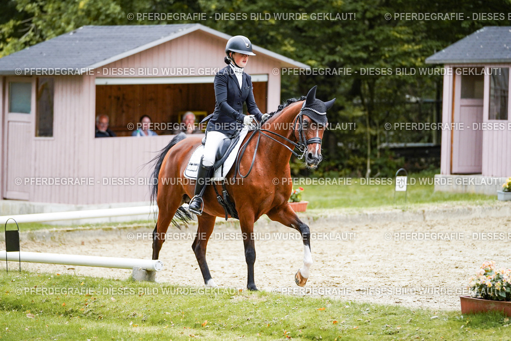 DSC01807 | Pferdegrafie