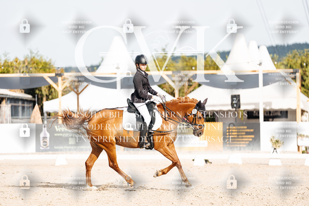CK904545 | Turnierfotografie Pferdefotografie Trier Rheinland-Pfalz Pferdesport Reitsport Tierfotografie Sportfotografie Pferdevideo Pferdevideografie Equestrianvideography equestrianphotography  - Realisiert mit Pictrs.com