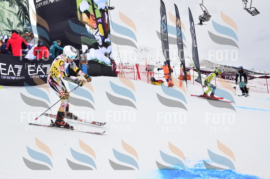 _ELE4133 | holidayphoto