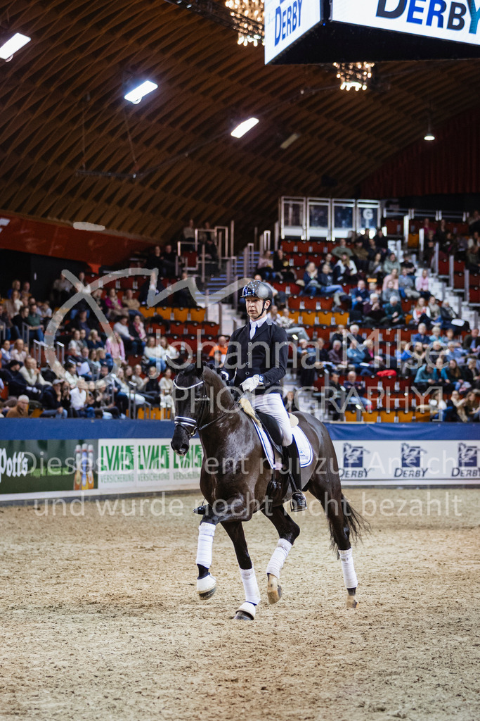 250108_Muenster_Hengstpräsentation-142 | Deine schönsten Turniermomente als professionelle Fotos! Entdecke hochwertige Pferdesport-Fotografie im Online-Shop. Jetzt Fotos finden & bestellen!