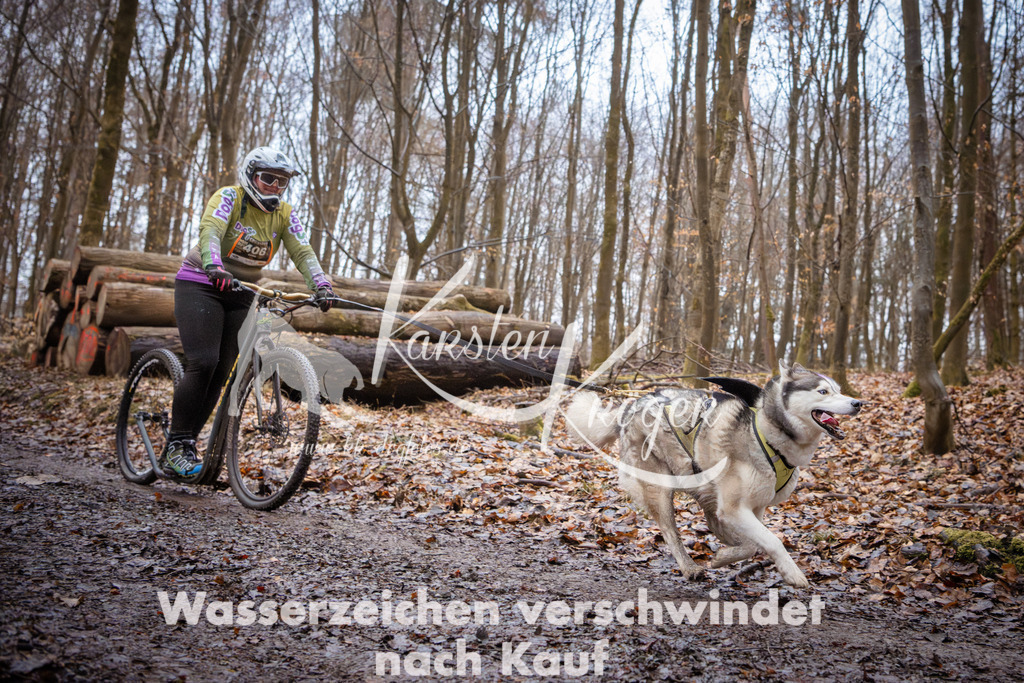 0851_ZZ94853 | kk-dogfotos