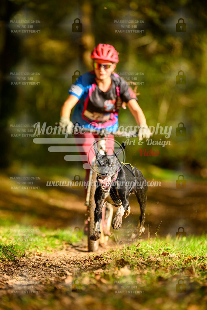 MompixPhotography_20TSB_E1_DS1-32 | PayLife