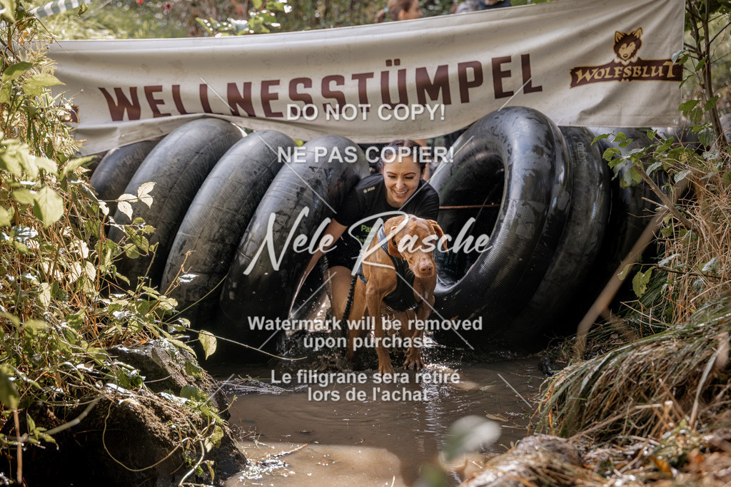 nelerasche_Hunsrück2026_Sa1400-1500_379 | nelerasche