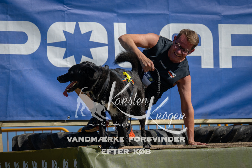 1120_ZZ91337 | kk-dogfotos