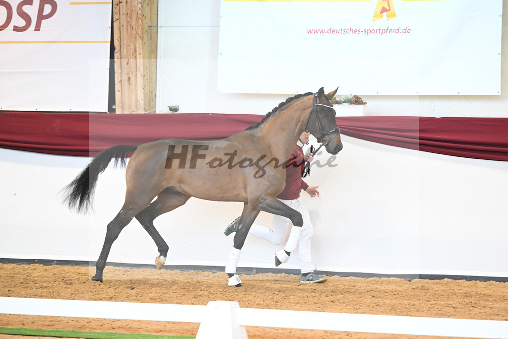 Kat-Nr. 10 v. Bonds_Klenk u Schneider-Gaertner_66221709 | hf-fotografie - Realisiert mit Pictrs.com