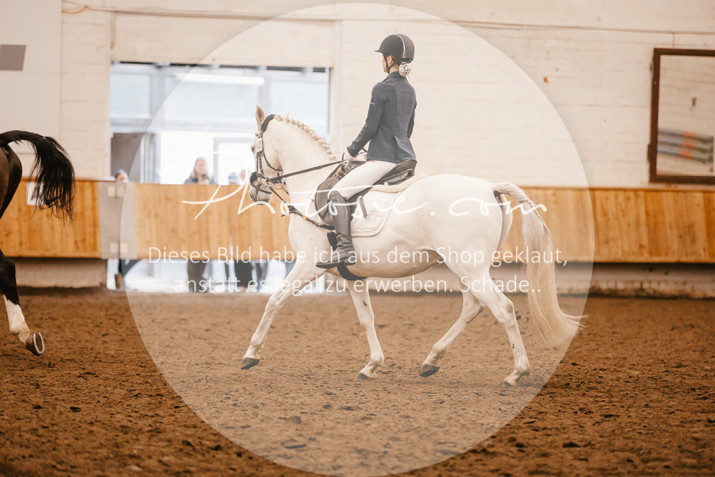 3I6A6271 | Stimmungsvolle Portraits und Reitsportfotografie im Ruhrgebiet und im Münsterland.

Pferdefotografie, Hundefotografie, Tierfotografie, Reportagen, Portraits von Tier und Mensch, Turnierfotografie in Bochum, Recklinghausen, Marl, Haltern am See, Dülmen.. - Realisiert mit Pictrs.com