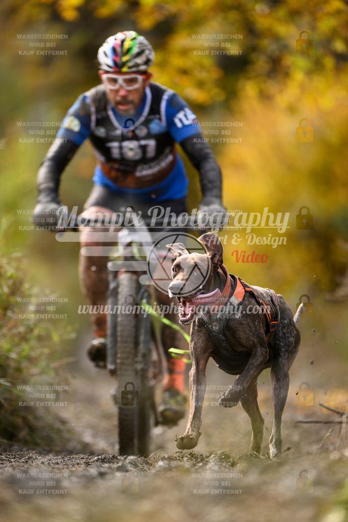 MompixPhotography_ICF_WC_2024_SA_Bike_-282 | PayLife