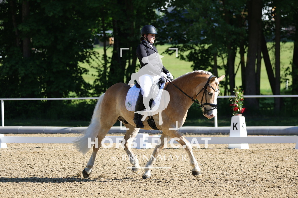 0P6A9368 | Willkommen bei Brunnmayr - Design & Fotografie – Ihrem Spezialisten für Reitturniere und Pferdeveranstaltungen in Oberösterreich, Salzburg und Bayern! Seit über 17 Jahren sind wir leidenschaftlich dabei.