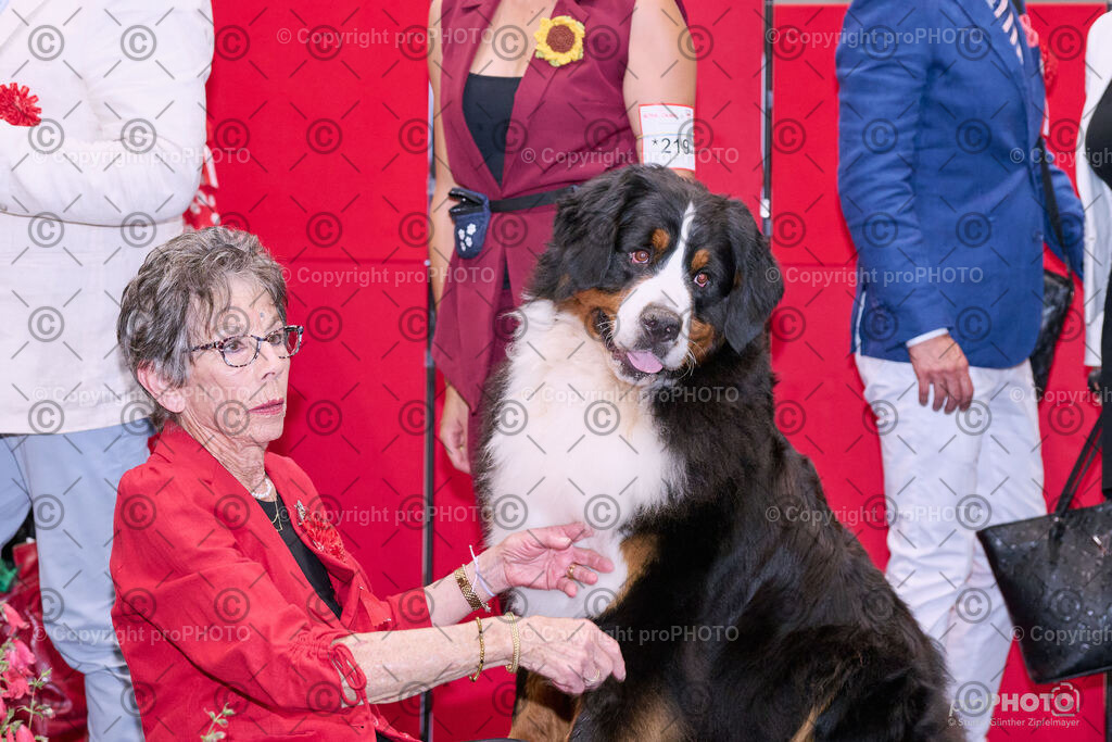 202406_ÖKV-IHA-Tulln24_NZ9_8848 | proPHOTO - Realisiert mit Pictrs.com