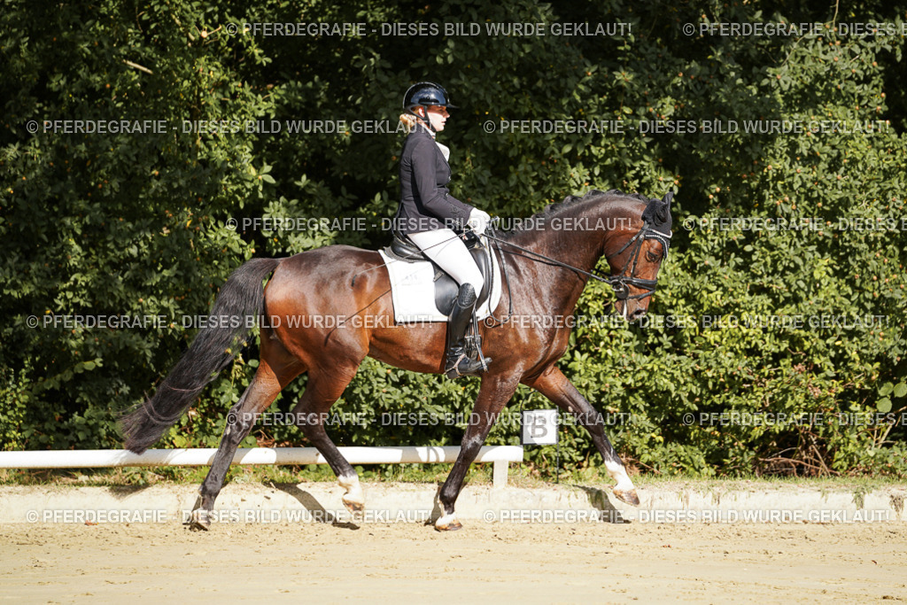 DSC07790 | Pferdegrafie