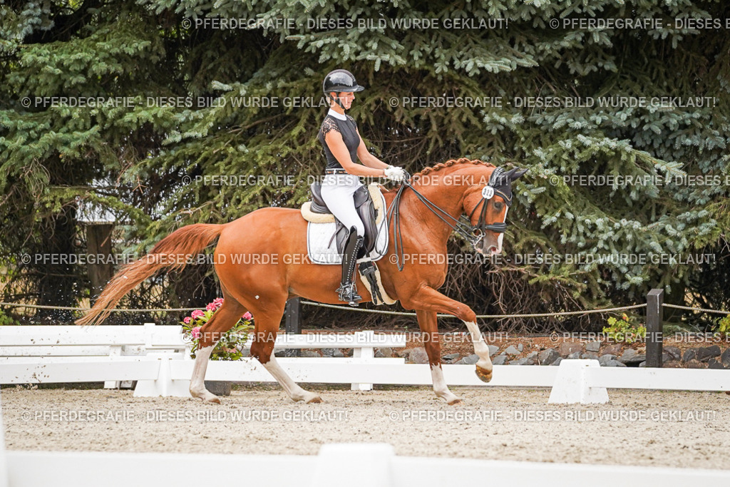 DSC07939 | Pferdegrafie