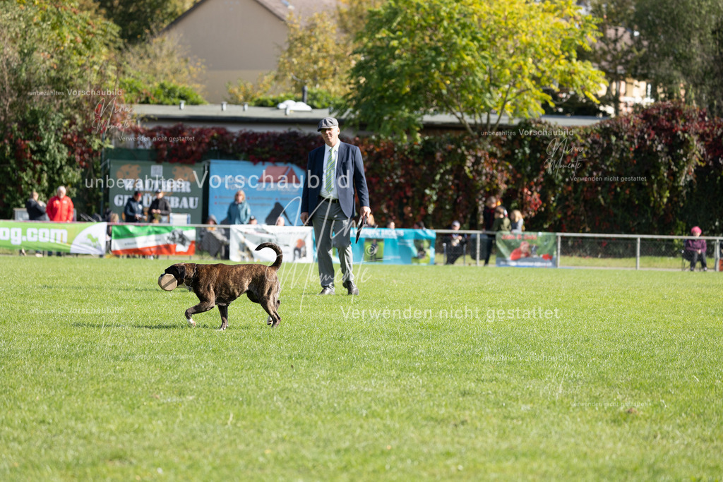 _16A6988 | Einzigartige Fotos von Hunden & Menschen –Actionfotos, Portraits, Vereinsaufnahmen & Paarshootings – authentisch, lebendig & mit Herz.