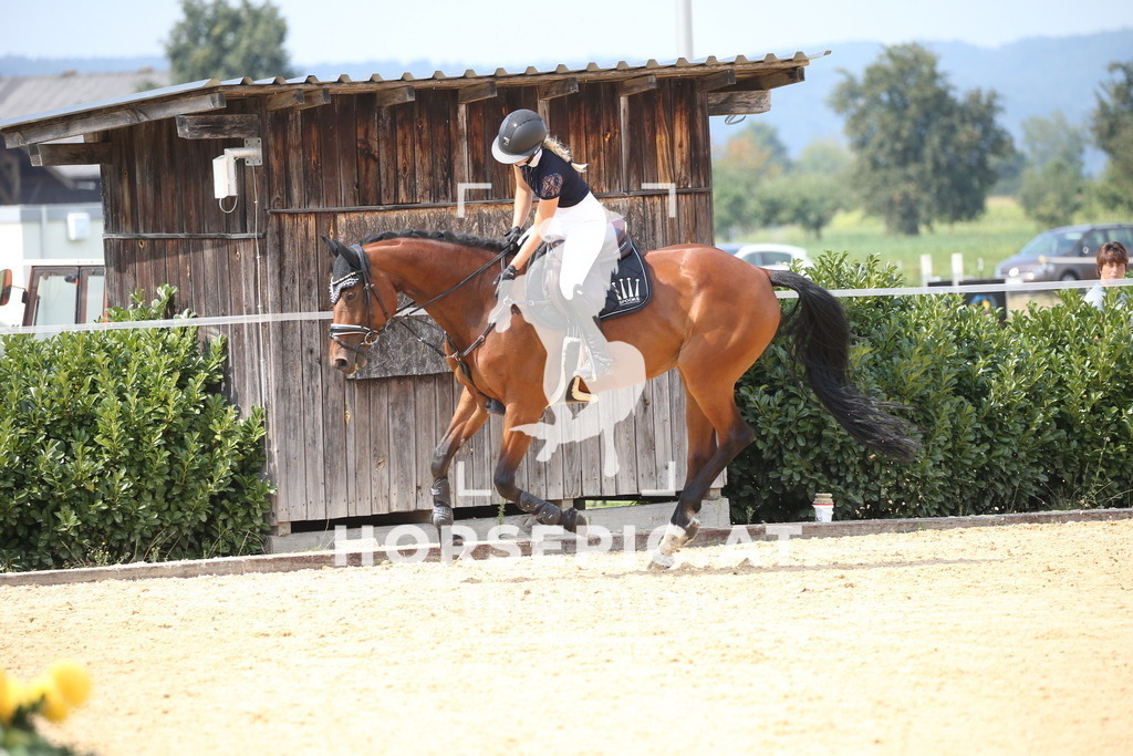DL2Q4390 | Willkommen bei Brunnmayr - Design & Fotografie – Ihrem Spezialisten für Reitturniere und Pferdeveranstaltungen in Oberösterreich, Salzburg und Bayern! Seit über 17 Jahren sind wir leidenschaftlich dabei.