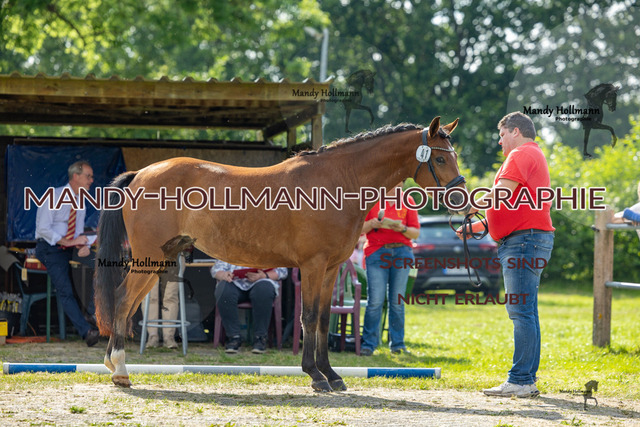 DR 3 (398 von 681) | mandyhollmannphotographie