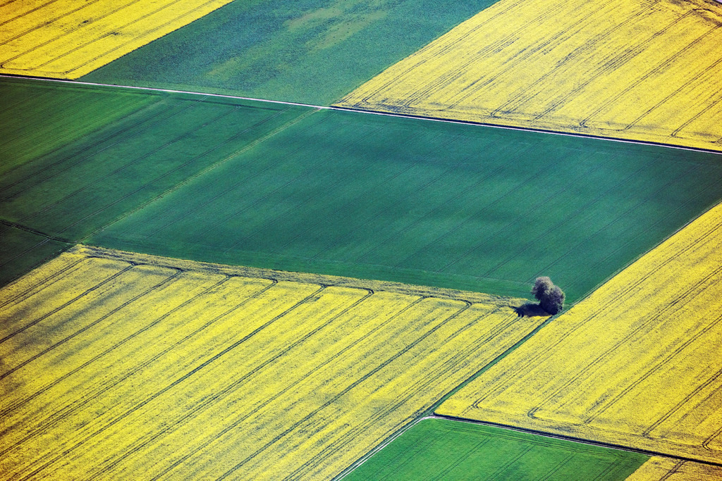 dr__0012267.jpg | TITTING 11.05.2017 Feld- Landschaft gelb blühender Raps- Blüten in Titting im Bundesland Bayern, Deutschland. // Field landscape yellow flowering rapeseed flowers in Titting in the state Bavaria, Germany. Foto: Daniel Reiter