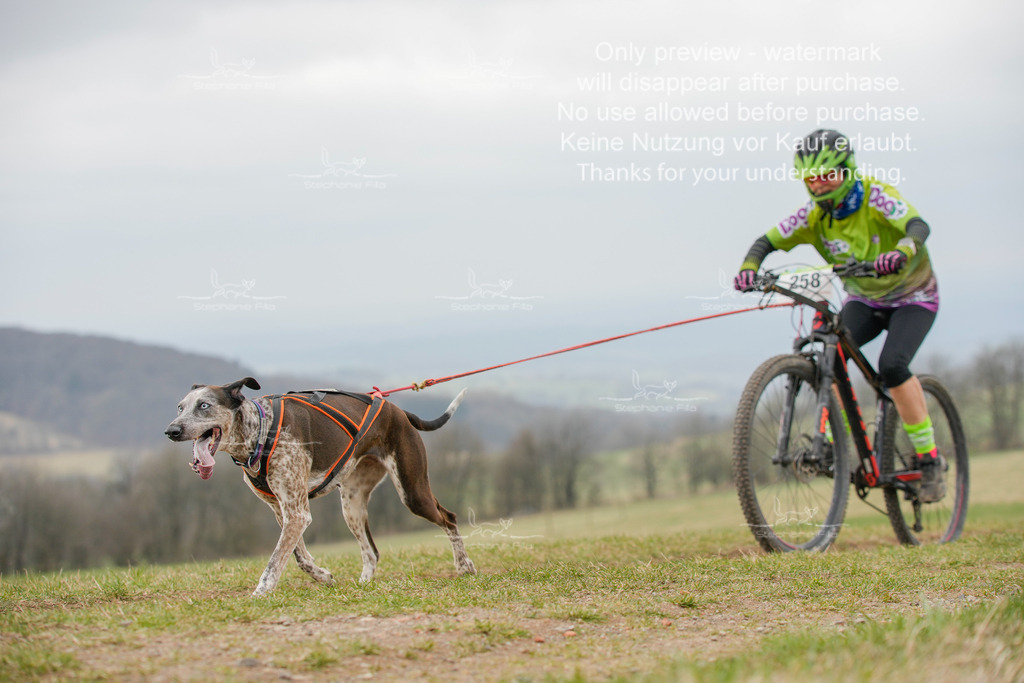 BikeSA-342 | stephaniefillaphotographie - Realisiert mit Pictrs.com