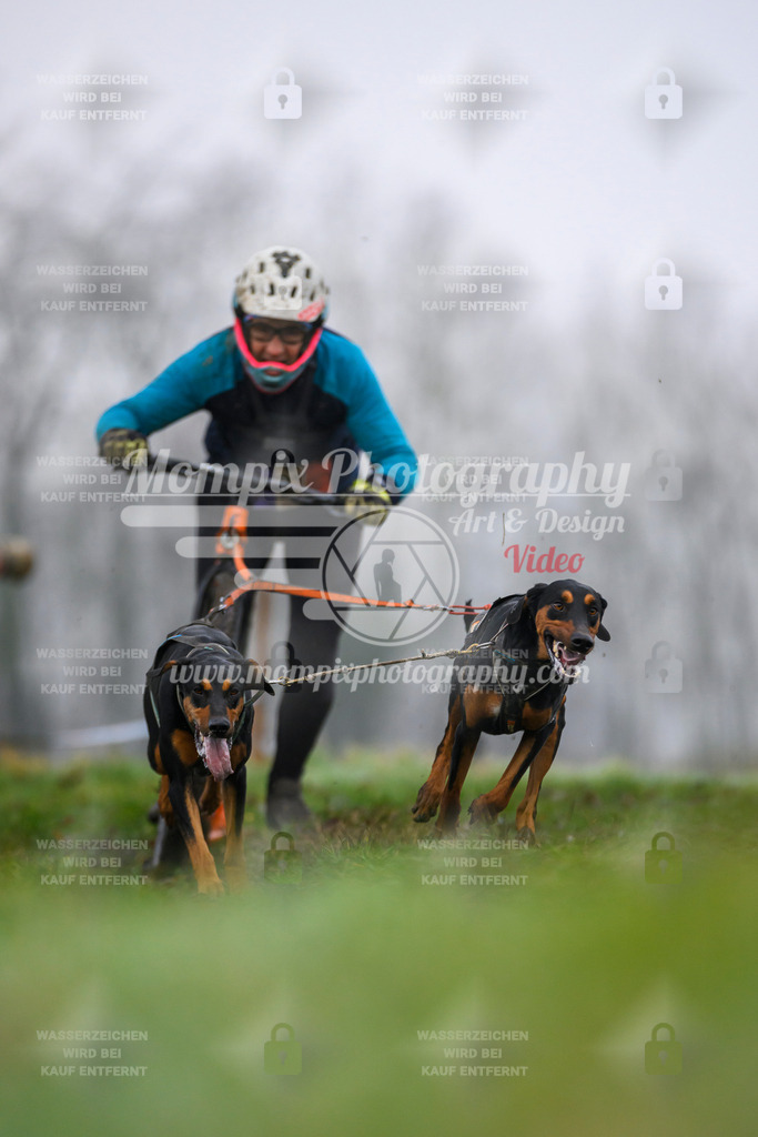 MompixPhotography_CDF2023_FFST_Di_DS2-22 | PayLife