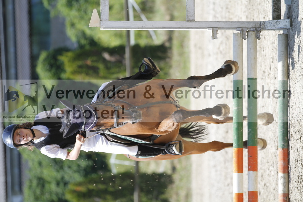 _MG_7980 | equestrian-live-com