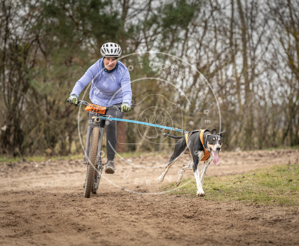 Pfotenfotografie_DV3A9637 | Hundefotografie, Tierfotograf, Pfotenfotografie, Fotoshooting Hund, Hunde Portrait, Hundesport, Hundeportraits, Heideshooting, Hunde, Sportfotograf, Hundefotograf, Turnierhundsport, THS,  - Realisiert mit Pictrs.com