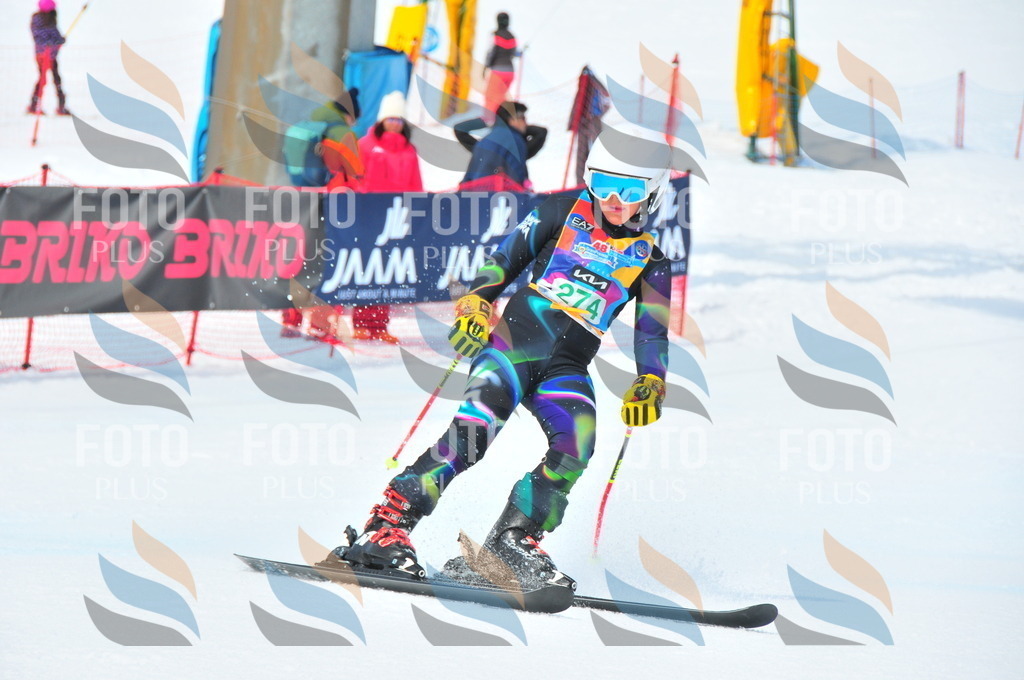 DSC_2548 | holidayphoto