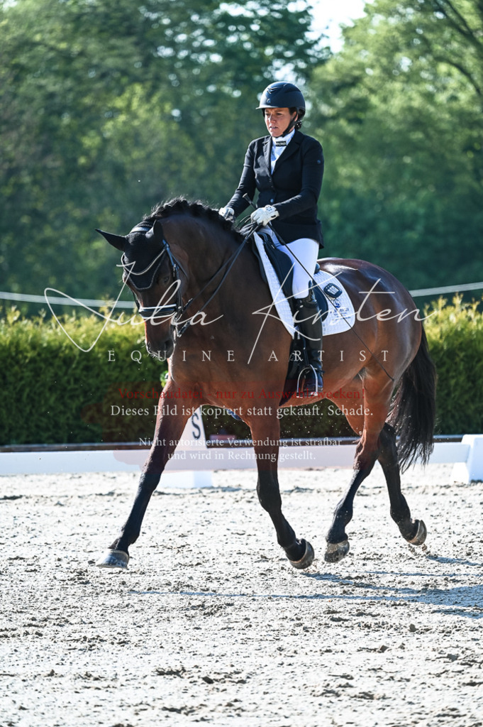20230514_JK-Röhrsdorf-18-097 | Pferde- und Turnierfotografie in Westsachsen. Pferdeportraits, Auftragszeichnungen und intuitive Kunst.