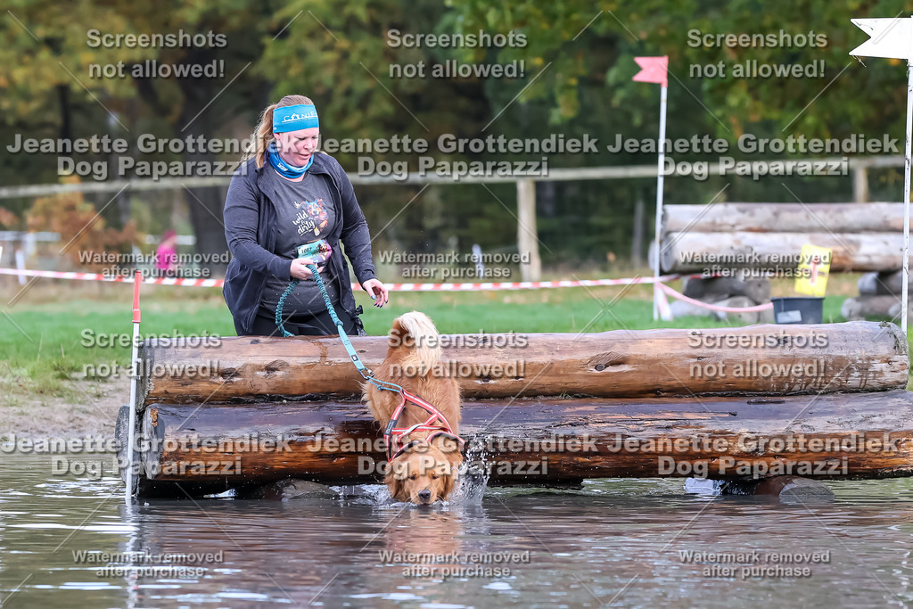 Dog Paparazzi - Strongdog 10-25-6731 | Dog Paparazzi Jeanette Grottendiek Fotografie & Videografie - Realisiert mit Pictrs.com