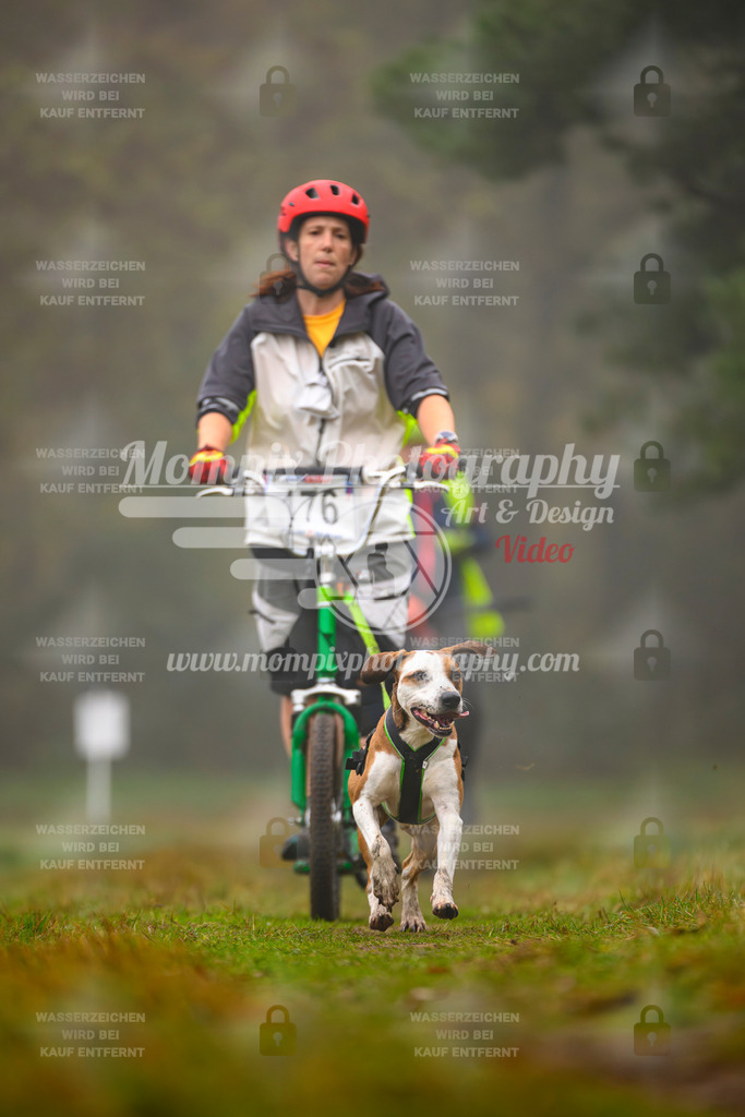 MompixPhotography_Bischwiller2025_Scooter-66 | mompixphotography