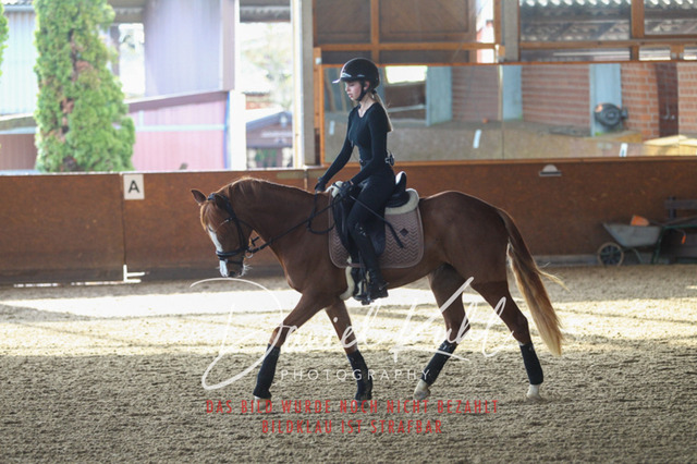 DKP42598 | Turniersportfotografie; Pferdefotografie; Dressurfotografie
