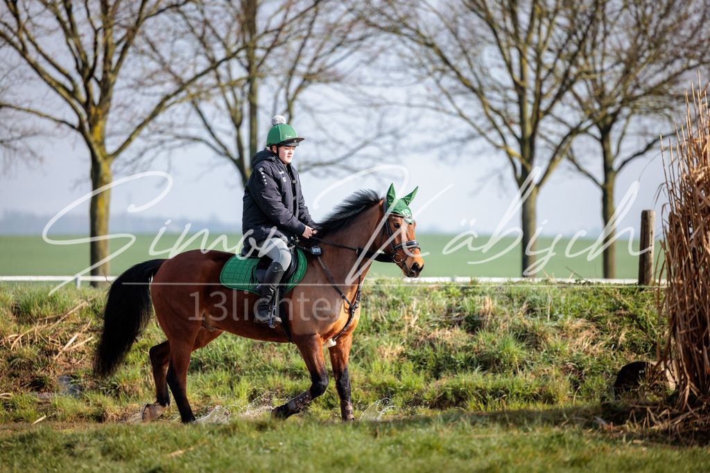20260329-_3LI3261 | Tierfotografie Pferde, Hunde, Katzen, Haustiere.
Turnierfotografie Reitturniere, Reiten, Springreiten, Dressur in Hanau, dem Main-Kinzig-Kreis und dem Rhein-Main- Gebiet um Frankfurt