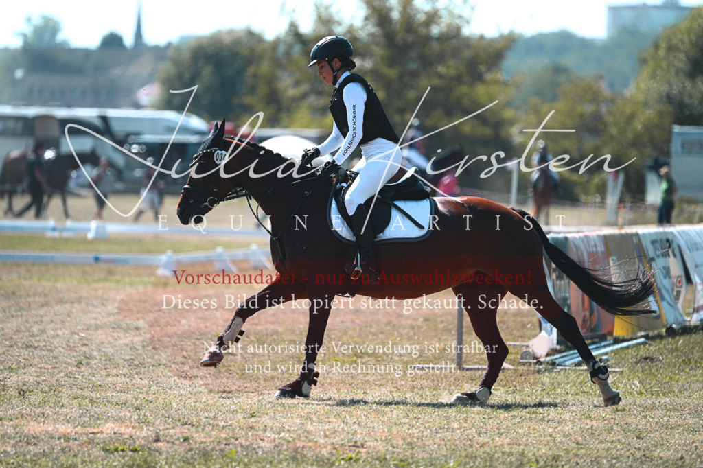 DSC_8260 | Pferde- und Turnierfotografie in Westsachsen. Pferdeportraits, Auftragszeichnungen und intuitive Kunst.