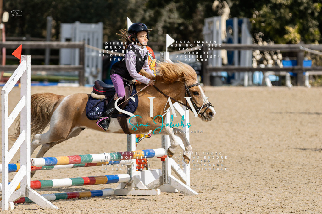 IMG_3064 | s-jay-photography - Realisiert mit Pictrs.com