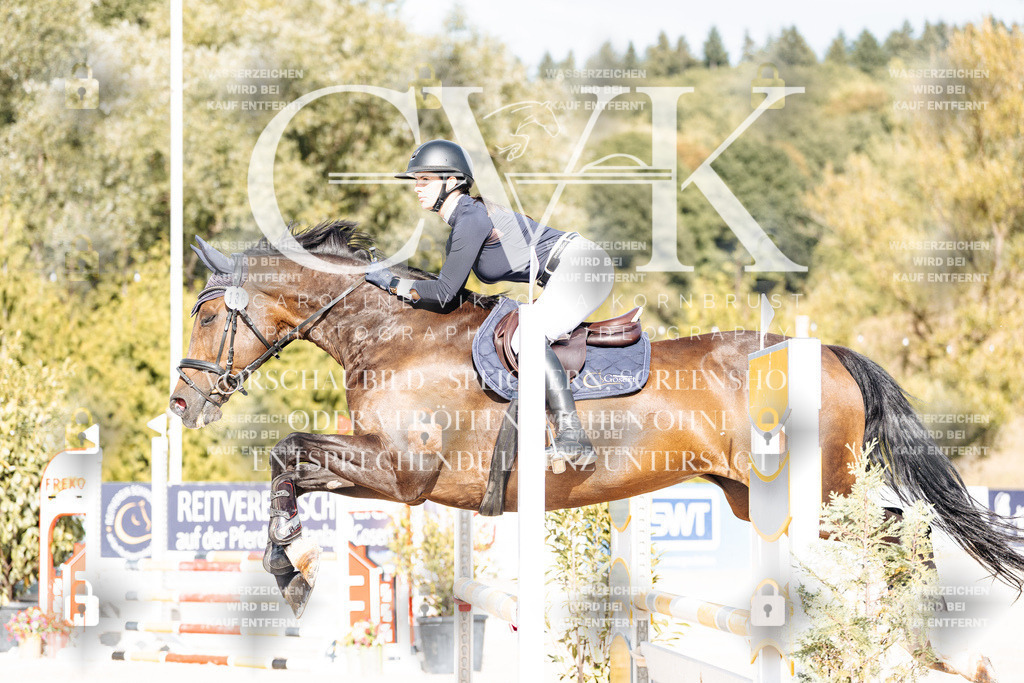 CK909201 | Turnierfotografie Pferdefotografie Trier Rheinland-Pfalz Pferdesport Reitsport Tierfotografie Sportfotografie Pferdevideo Pferdevideografie Equestrianvideography equestrianphotography  - Realisiert mit Pictrs.com