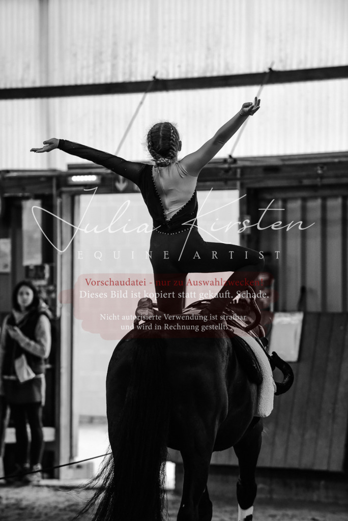 DSC_6883 | Pferde- und Turnierfotografie in Westsachsen. Pferdeportraits, Auftragszeichnungen und intuitive Kunst.