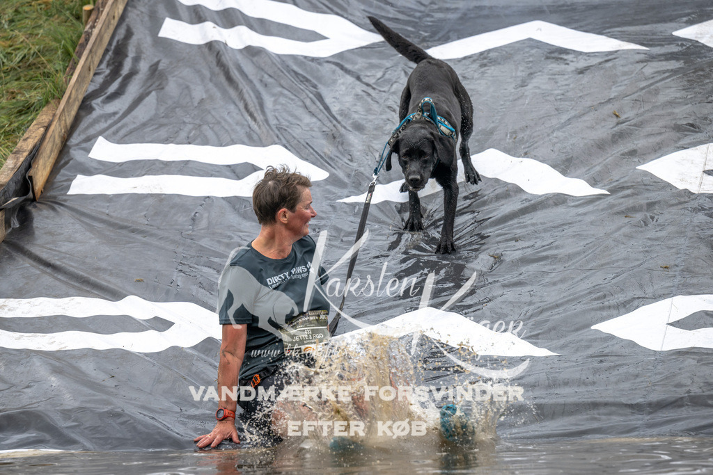 1331_ZZ92240 | kk-dogfotos