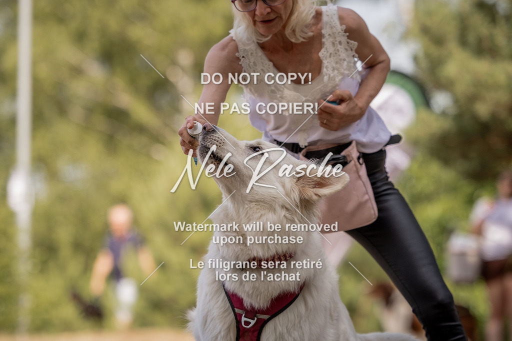 nelerasche_soDD2_204 | nelerasche